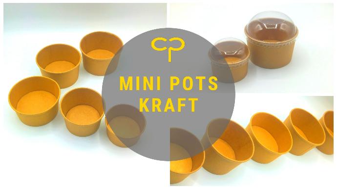 pots glace sauce carton kraft écologique horeca vinaigrette