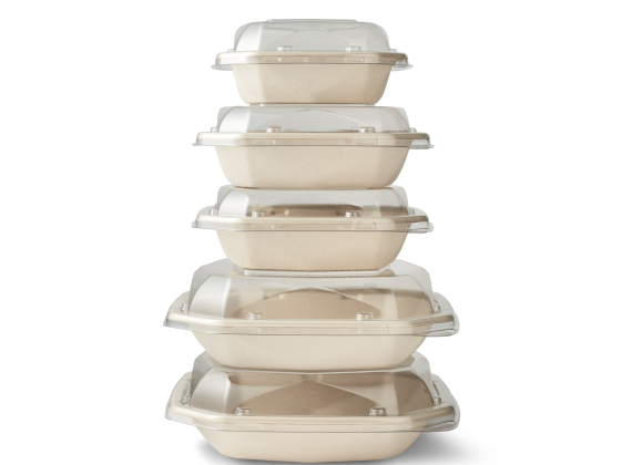 barquette octobagasse "ECOECHO" 152x152x38mm 400ml 50pc
