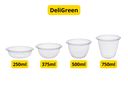 Pots DeliGreen 250ml rPET 42pcs