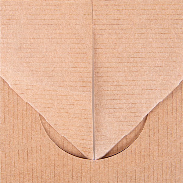 Boite Repas à Emporter "THEPACK" 26x20,5x11,3cm 50pc