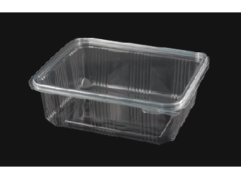 canspack-emballage-alimentaire-bruxelles-horeca-barquette-transparent-couvercle-charniere-750ml