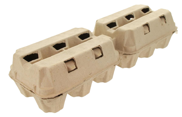 Eierdozenuit Plantaardige Vezels 2x6 Eieren LBG26 2x114st