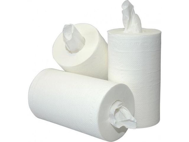 [CPRSMMNPAP] Rouleau Essuie-Tout 1 Plis sans Mandrin "Mini" 1x12pcs