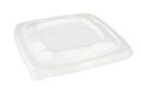 Deksels Eco Container Bagasse "Sabert" 159x159x16mm 75st