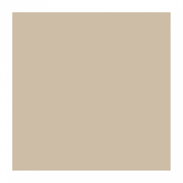 Feuilles Ingraissables Kraft 31x38cm 1000pcs