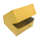 Boite Traiteur &quot;DUPLEX&quot; + Couvercle 22x22x10cm 100pcs