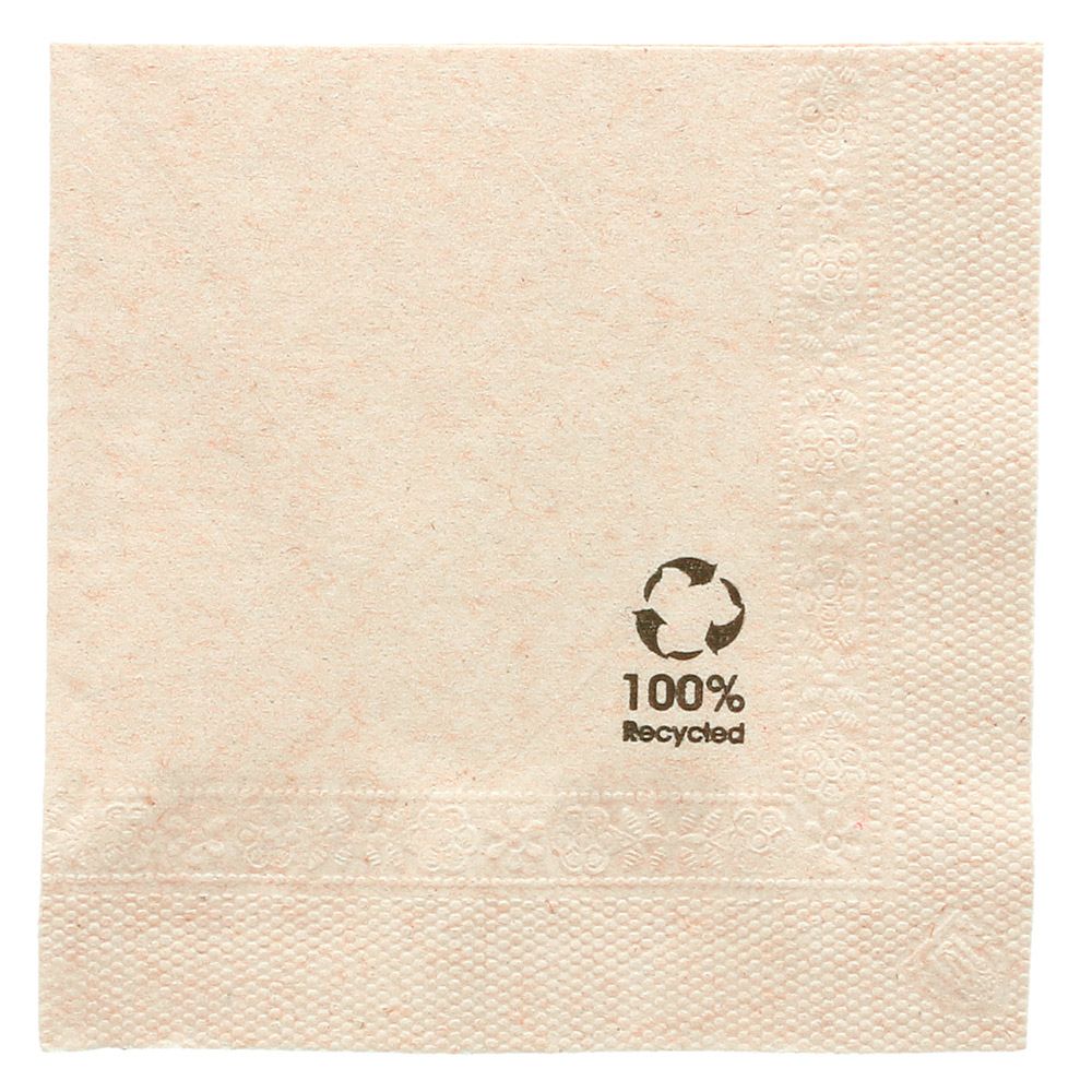 Serviette 2 Plis 25x25cm Écolabel 100pcs