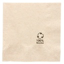 Servetten 2 Plooien 25x25cm Écolabel 100st