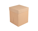 Boite Patisserie "THEPACK" tall cake box 25,4x25,4x30,5cm 10pcs