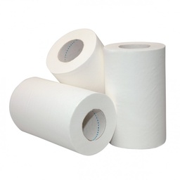 [CPRETMNPAP] Rouleau Essuie-Tout 2 Plis &quot;Mini Jumbo&quot; 1x12pcs