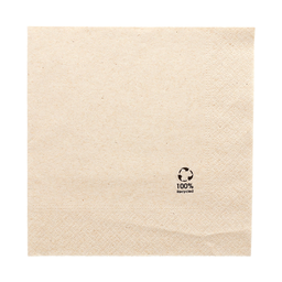 [CP23205PAP] Serviette 2 Plis 30x30cm Écolabel 100pcs