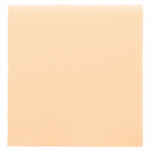 [CP16665PAP] Serviette Double Point 40x40cm IVOIRE 50pcs